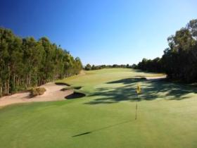 Pelican Waters Golf Club - Accommodation Nelson Bay