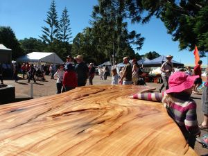 Maleny Wood Expo From Seed to Fine Furniture - Accommodation Nelson Bay